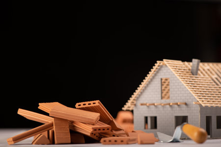 Bicks and project for construction industry. Building house concept