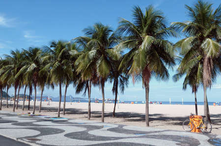 Copacabana beach view with mosaic sidewalk, bicycle and palm treesの写真素材