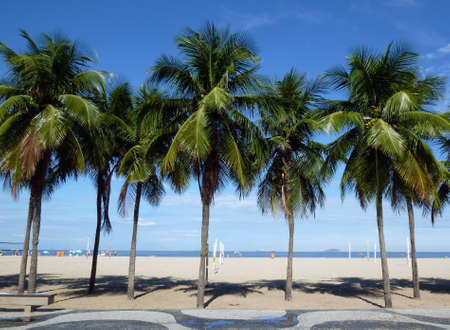 Copacabana beach view with mosaic sidewalk and palm treesの写真素材