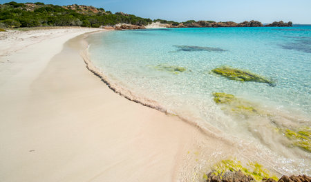 Pink Beach. This splendid beach located in Cala del Roto on the island of Budelli is one of the most beautiful places in the La Maddalena Archipelago National Park.の写真素材