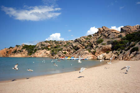 Archipelago of La Maddalena National Park. Seascape, Spalmatore localityの写真素材