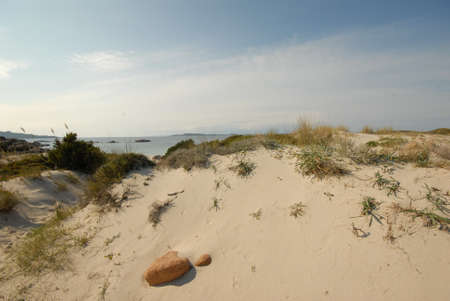 Dune system of the beaches of La Maddalenaの写真素材
