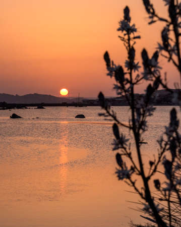 Sunsets in the La Maddalena Archipelago National Parkの写真素材