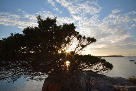 Sunsets in the La Maddalena Archipelago National Parkの写真素材