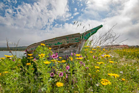 abandoned boat among the flowersの写真素材