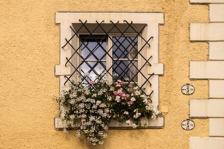 Window with pot of geraniumsの写真素材