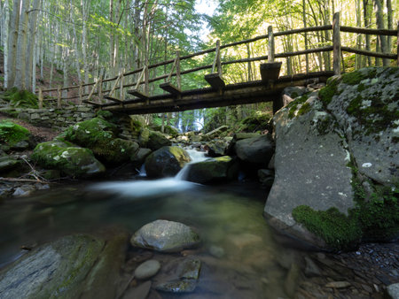 The waterfalls of the Dardagna creek with a wooden bridge, inside the Corno alle Scale park, Bologna (Italy)の写真素材