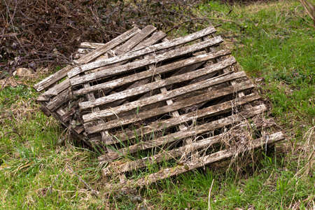 old pallets stacked in a green meadow at the edge of the forestの写真素材