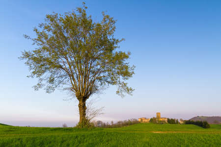 in the foreground a large tree from colorful spring, in the background a former Bastilleの写真素材