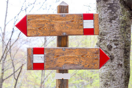 arrow shaped signs along the nature trailの写真素材