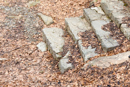 old stone steps covered with dry leavesの写真素材