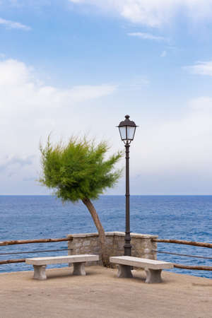 tree and a lamppost on the sea cliffの写真素材
