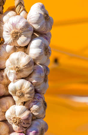 bunch of garlic hanging on market stallの写真素材