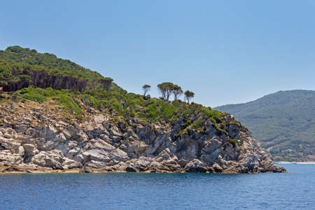evergreen trees dominate on the cliffs of the islandの写真素材