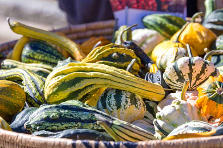 explosion of colors in this basket of vegetablesの写真素材