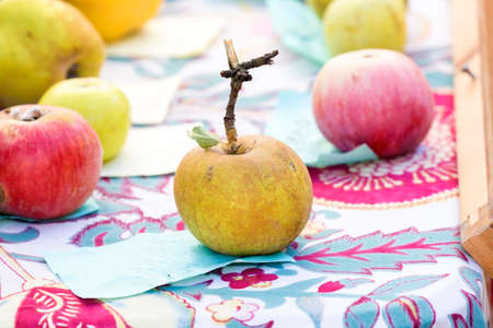 ancient apple on the table along with the other apples