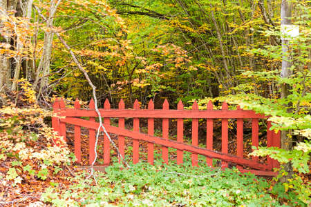 big old red gate blocking the road in the woodsの写真素材