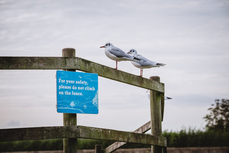 Do not climb on fenceの写真素材