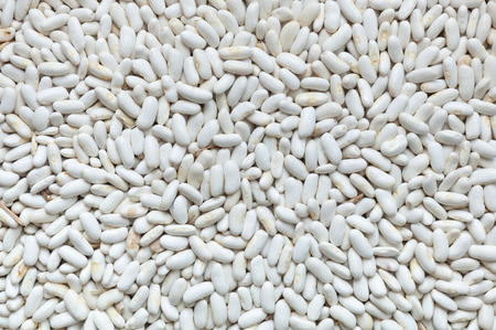 Group of white beans arranged for drying. Legume species