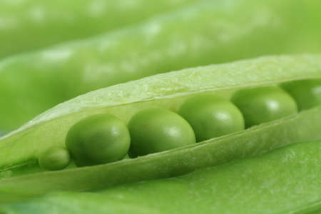 green peas close upの写真素材