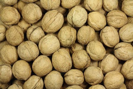  fresh walnuts background