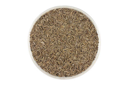 Dried cumin seeds in glass containers on a white backgroundの写真素材