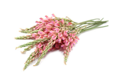 bouquet of pink wildflowers on a white background の写真素材