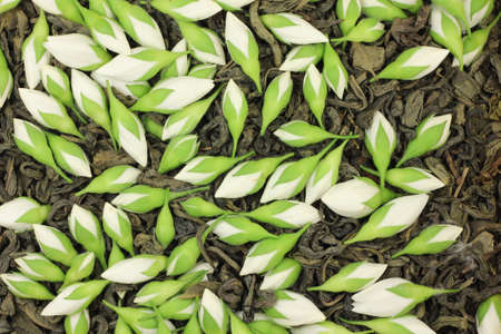 white jasmine buds on green tea の写真素材