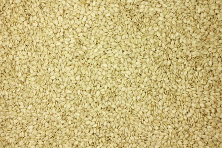 white sesame seeds abstract background の写真素材