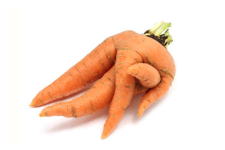 fused orange carrot on a white backgroundの写真素材