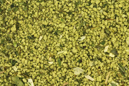 granulated salt with spices abstract backgroundの写真素材