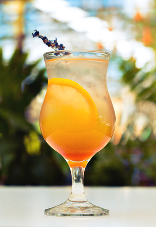 orange cocktail  in high ball glassの写真素材