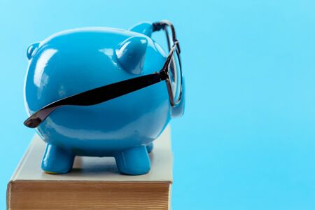 Blue piggy bank or money boxの写真素材