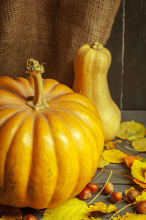 pumpkins on wooden boardの写真素材