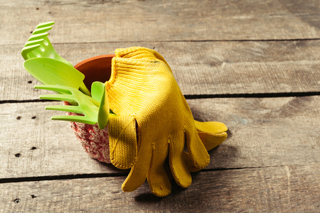 composition of garden toolsの写真素材