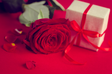 Image of Valentines dayの写真素材