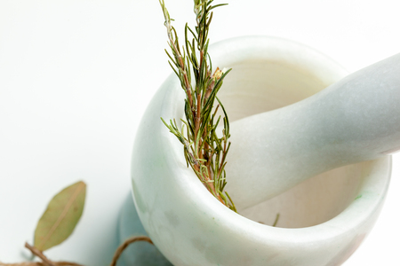 Ceramic Mortar with Pestle and fresh spicesの写真素材