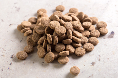 pets food on the floor