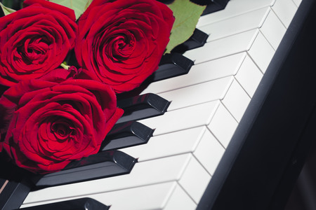 red roses on piano keysの写真素材