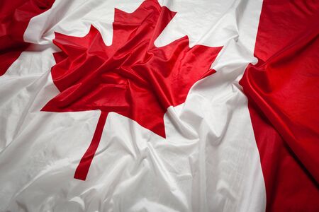 Canada waving flagの写真素材