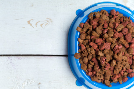 pets food on wooden floorの写真素材