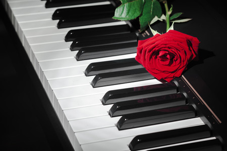 grand piano with red roseの写真素材