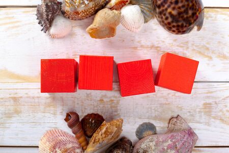 shells on the wooden floor