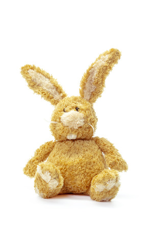 toy bunny sitting isolatedの写真素材