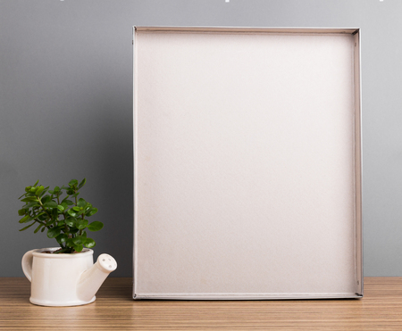 House plants. Succulentsの写真素材