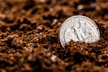 Growing euro coins. Small depth of field.の写真素材