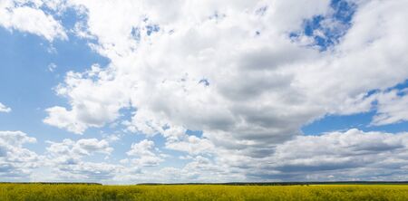 wonderful sunny day in park with green trees, grass and blue cloudy skyの写真素材