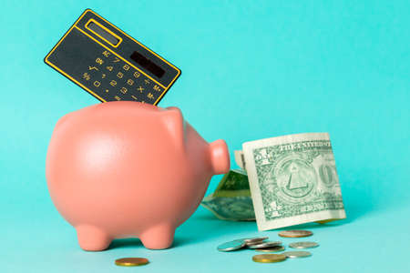 Beautiful ceramic piggy coin bank, money savings conceptの写真素材