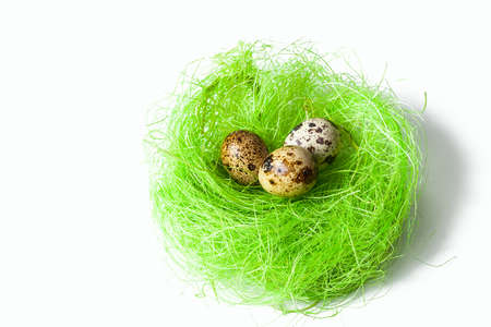 Quail eggs in the nestの写真素材