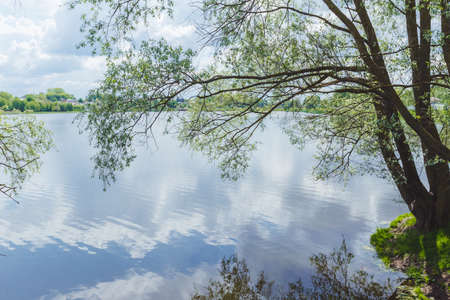 beautiful green parkの写真素材